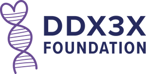 DDX3X Foundation